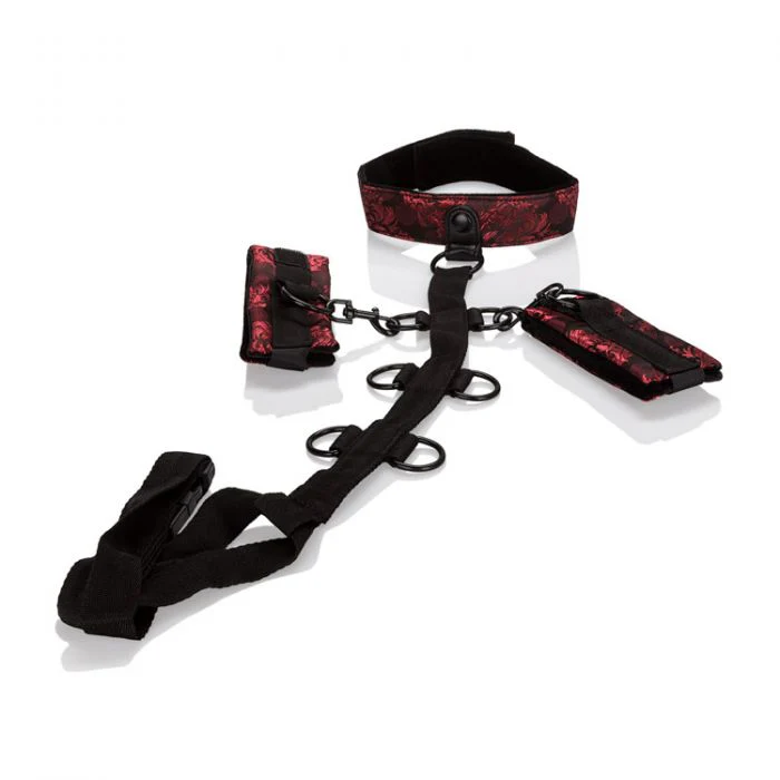 Body Scandal Collar Body Restraints - Image 4