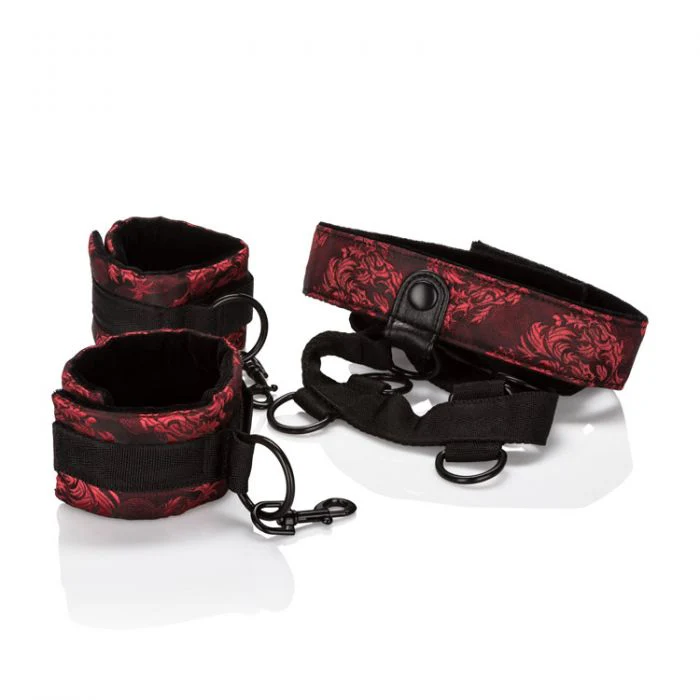 Body Scandal Collar Body Restraints - Image 5
