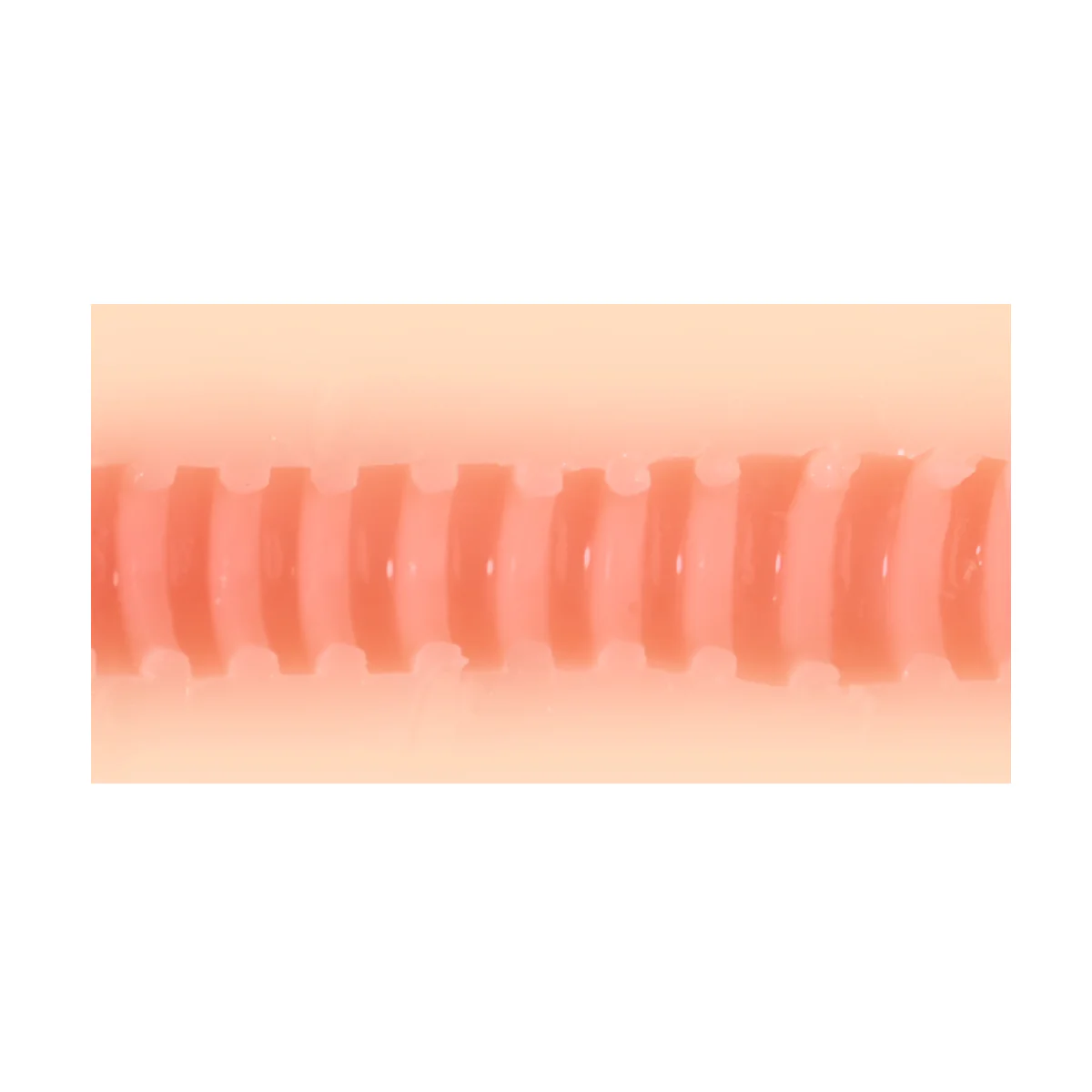 Masturbador Vanilla Pussy Can - Image 3